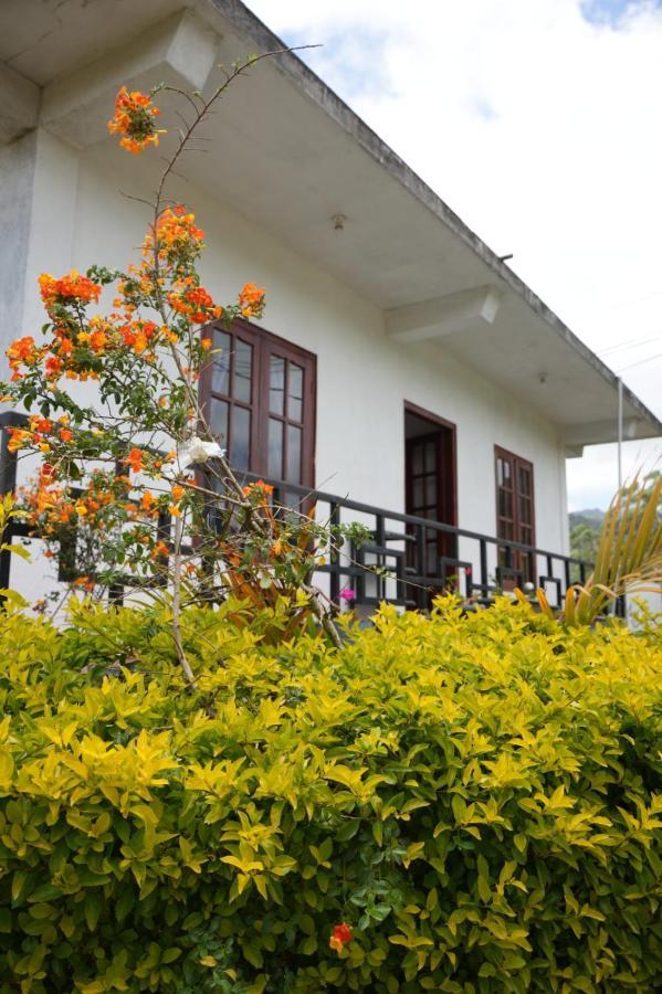 The Train View Bed & Breakfast Нувара Елия Екстериор снимка